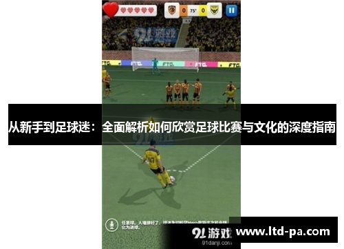 从新手到足球迷：全面解析如何欣赏足球比赛与文化的深度指南
