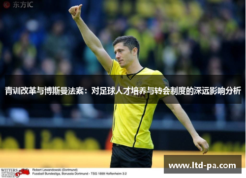 青训改革与博斯曼法案：对足球人才培养与转会制度的深远影响分析