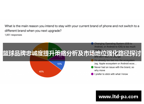 篮球品牌忠诚度提升策略分析及市场地位强化路径探讨