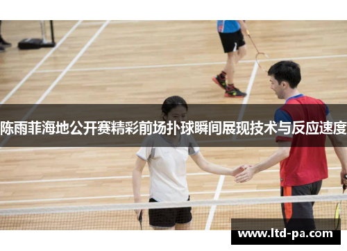 陈雨菲海地公开赛精彩前场扑球瞬间展现技术与反应速度