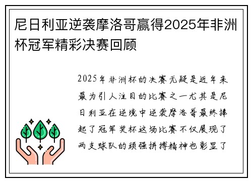 尼日利亚逆袭摩洛哥赢得2025年非洲杯冠军精彩决赛回顾