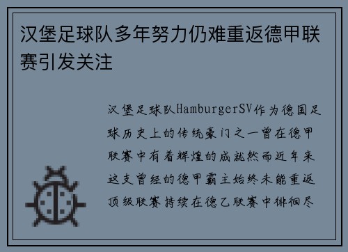 汉堡足球队多年努力仍难重返德甲联赛引发关注